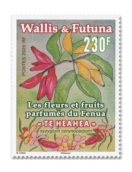 WALLIS : LES FLEURS ET FRUITS PARFUMES DU FENUA- (13_25_614)