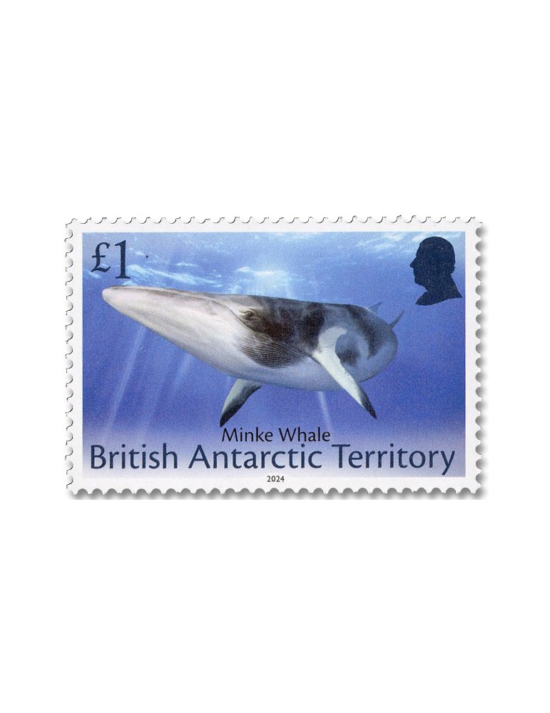 n° 837/848 - Timbre ANTARCTIQUE BRITANNIQUE Poste