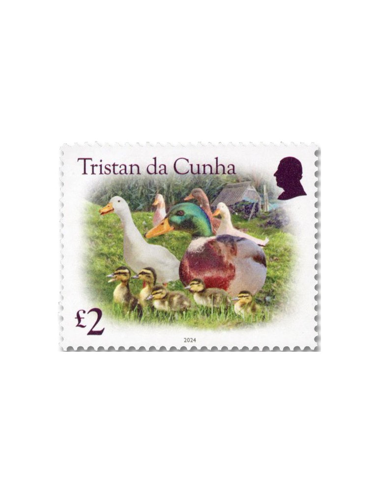 n° 1364/1367 - Timbre TRISTAN DA CUNHA Poste