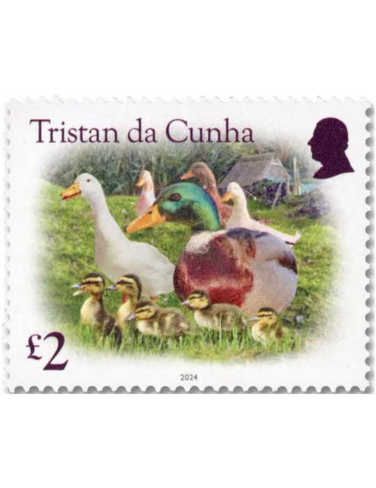 n° 1364/1367 - Timbre TRISTAN DA CUNHA Poste