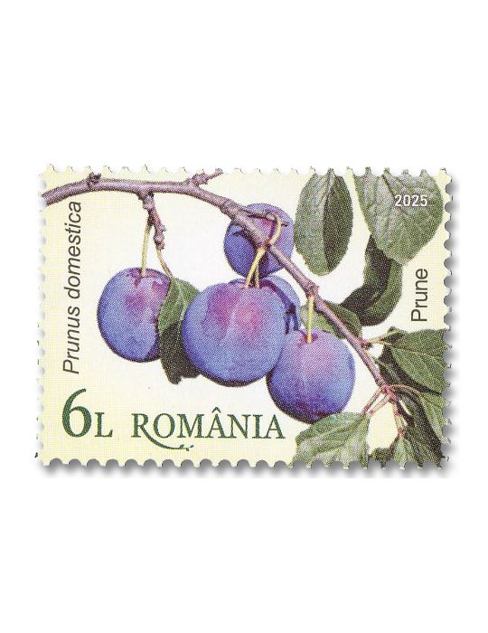 n° 7243/7248 - Timbre ROUMANIE Poste