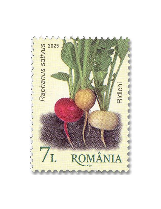n° 7243/7248 - Timbre ROUMANIE Poste