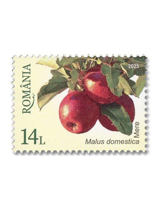 n° 7243/7248 - Timbre ROUMANIE Poste