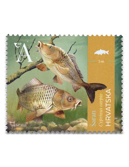 n° 1553/1555 - Timbre CROATIE Poste