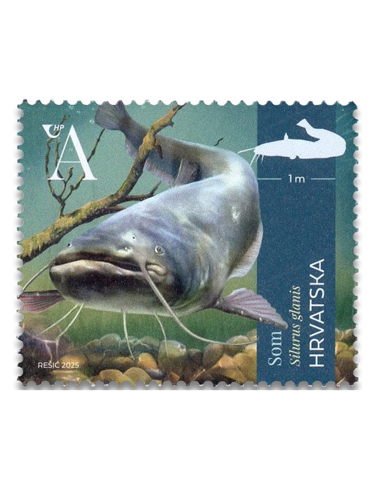 n° 1553/1555 - Timbre CROATIE Poste