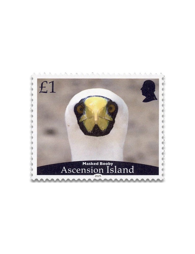 n° 1279/1282 - Timbre ASCENSION Poste