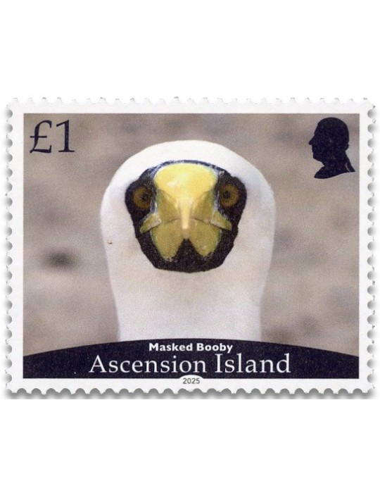 n° 1279/1282 - Timbre ASCENSION Poste