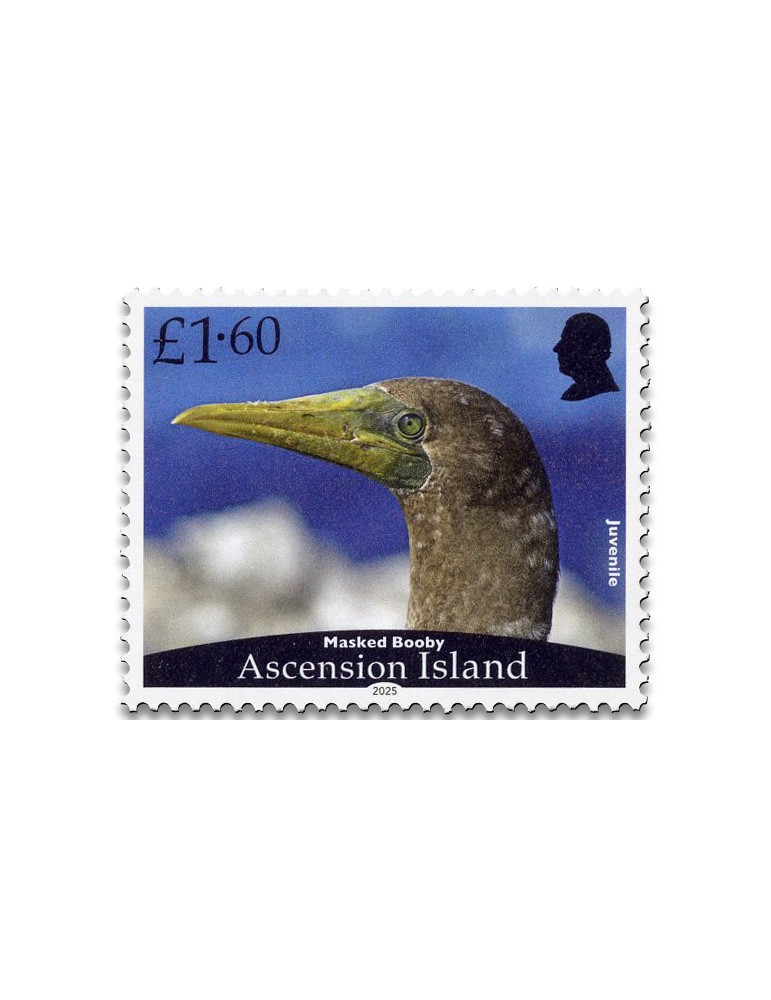 n° 1279/1282 - Timbre ASCENSION Poste