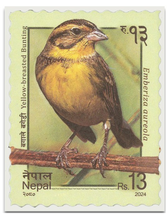 n° 1395 - Timbre NEPAL Poste