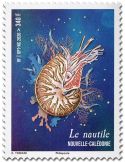 N aledonieC : LE NAUTILE