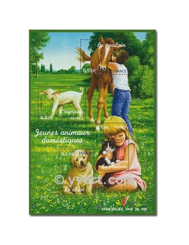 n° 96 - Timbre France Bloc et feuillets