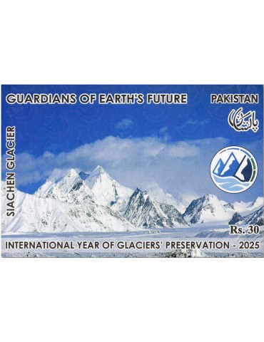 n° 41/43 - Timbre PAKISTAN Blocs et feuillets 2