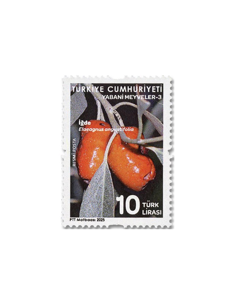n° 458/462 - Timbre TURQUIE Timbres de service