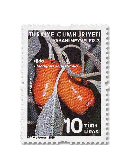 n° 458/462 - Timbre TURQUIE Timbres de service