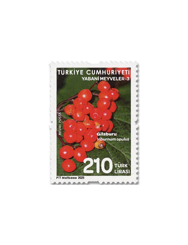 n° 458/462 - Timbre TURQUIE Timbres de service