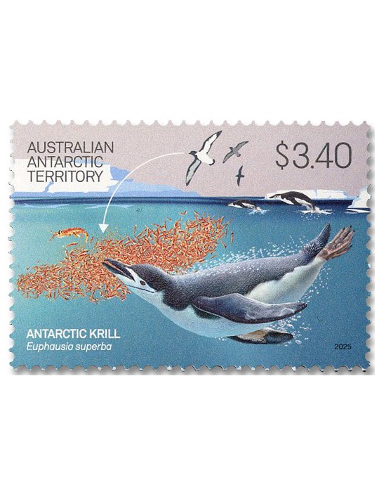 n° 309/312 - Timbre TERRITOIRE ANTARCTIQUE AUSTRALIEN Poste