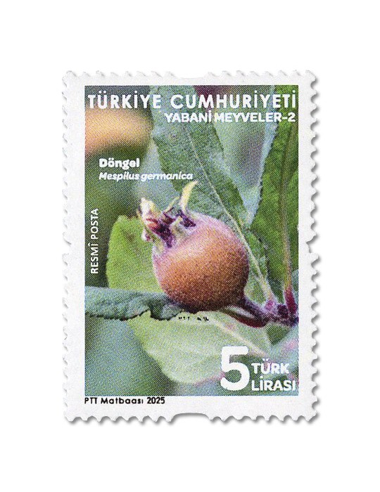 n° 456/457 - Timbre TURQUIE Timbres de service