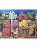 n° F555 - Timbre COCOS (ILES) Poste