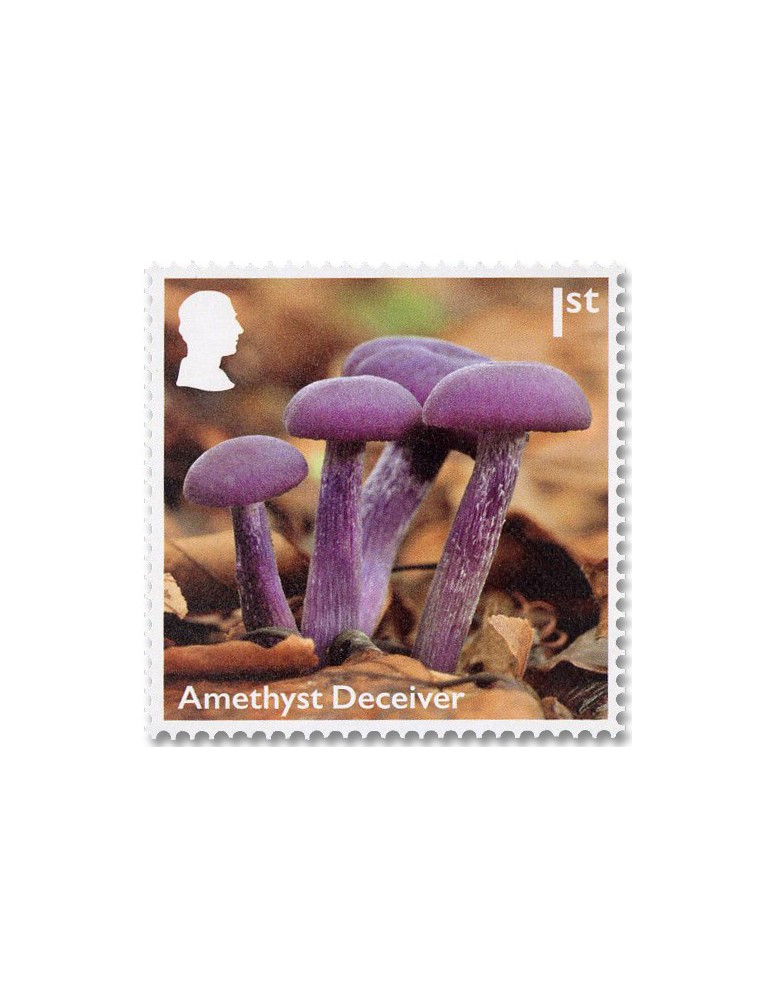 n° 6085/6094 - Timbre GRANDE-BRETAGNE Poste