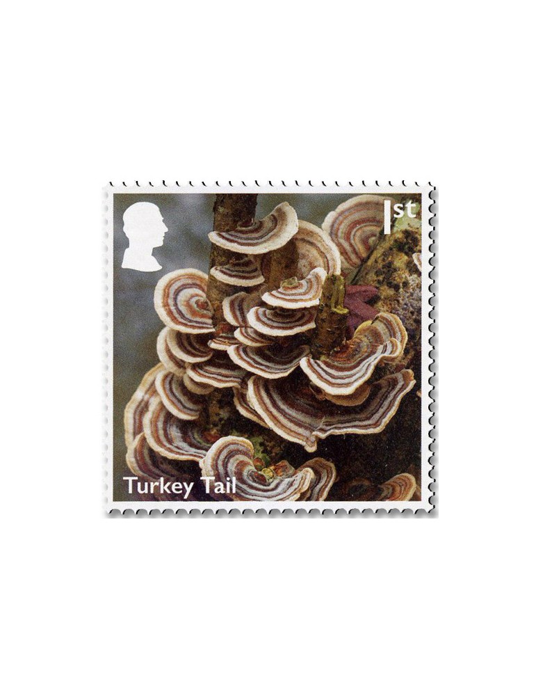 n° 6085/6094 - Timbre GRANDE-BRETAGNE Poste