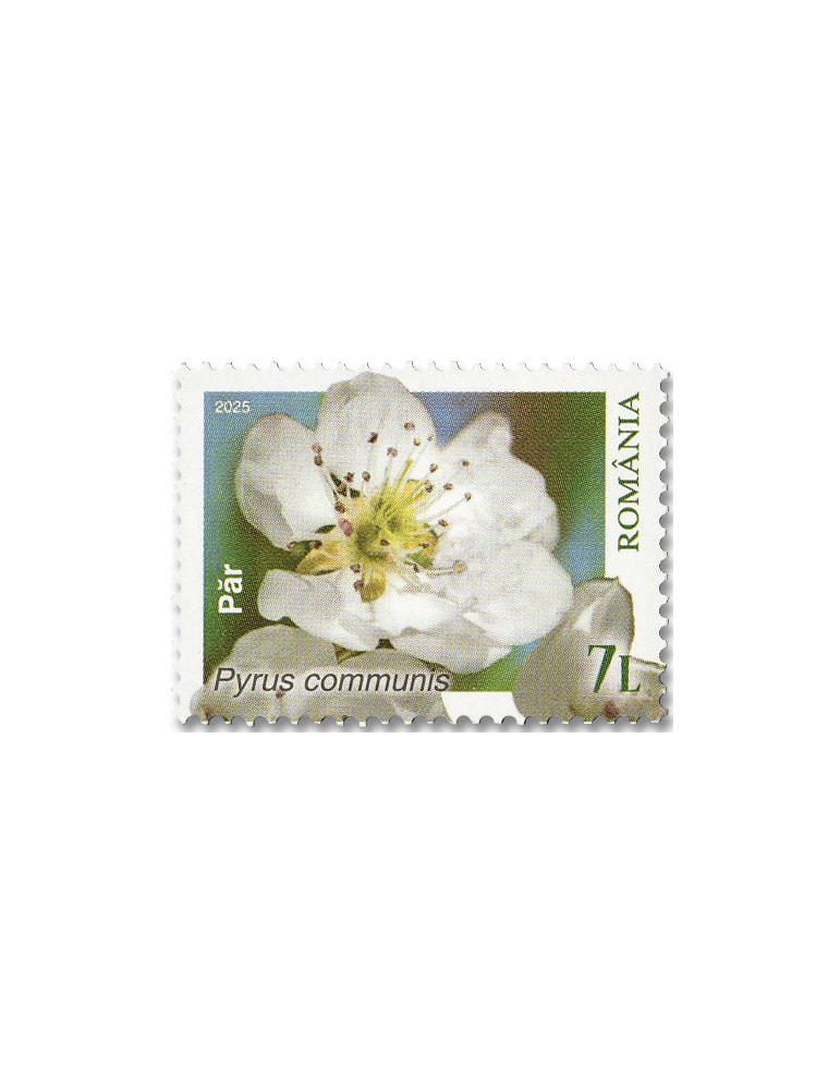 n° 7284/7287 - Timbre ROUMANIE Poste