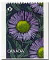 n° 3339/3340 - Timbre CANADA Poste