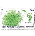 nr. 125/126 -  Stamp French Southern Territories Mail