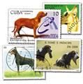 CÃES: lote de 200 selos