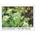 nr. 258 -  Stamp New Caledonia Air Mail