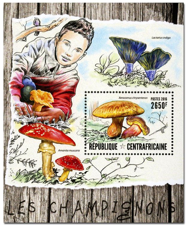 n° 986 : Timbre CENTRAFRICAINE Blocs et feuillets n° 986 : Timbre CENTRAFRICAINE Blocs et feuillets