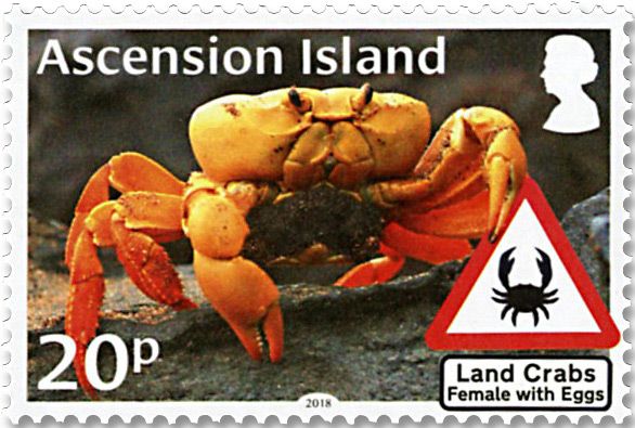 n° 1191/1196 - Timbre ASCENSION Poste