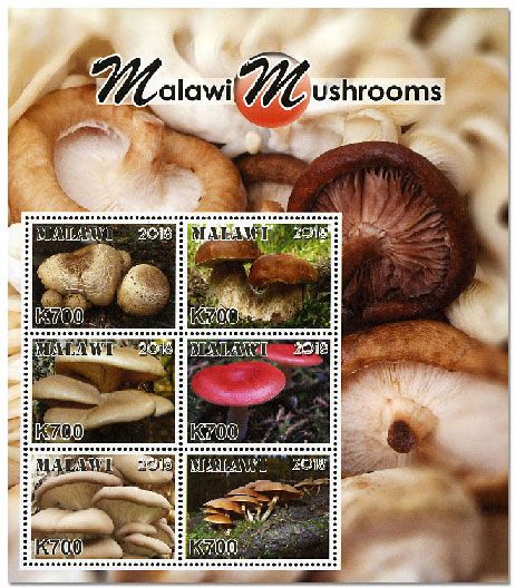 n° 898/903 - Timbre MALAWI Poste n° 898/903 - Timbre MALAWI Poste