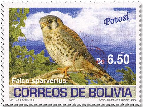 n° 1619 - Timbre BOLIVIE Poste n° 1619 - Timbre BOLIVIE Poste