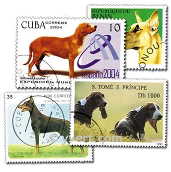 CHIENS : pochette de 50 timbres (Oblitérés)