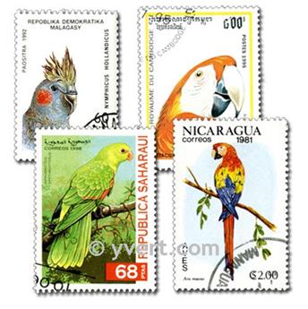 PARROTS: envelope of 50 stamps