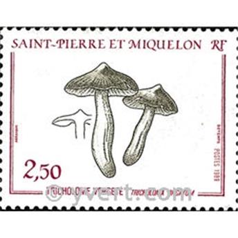 n.o 497 -  Sello San Pedro y Miquelón Correos